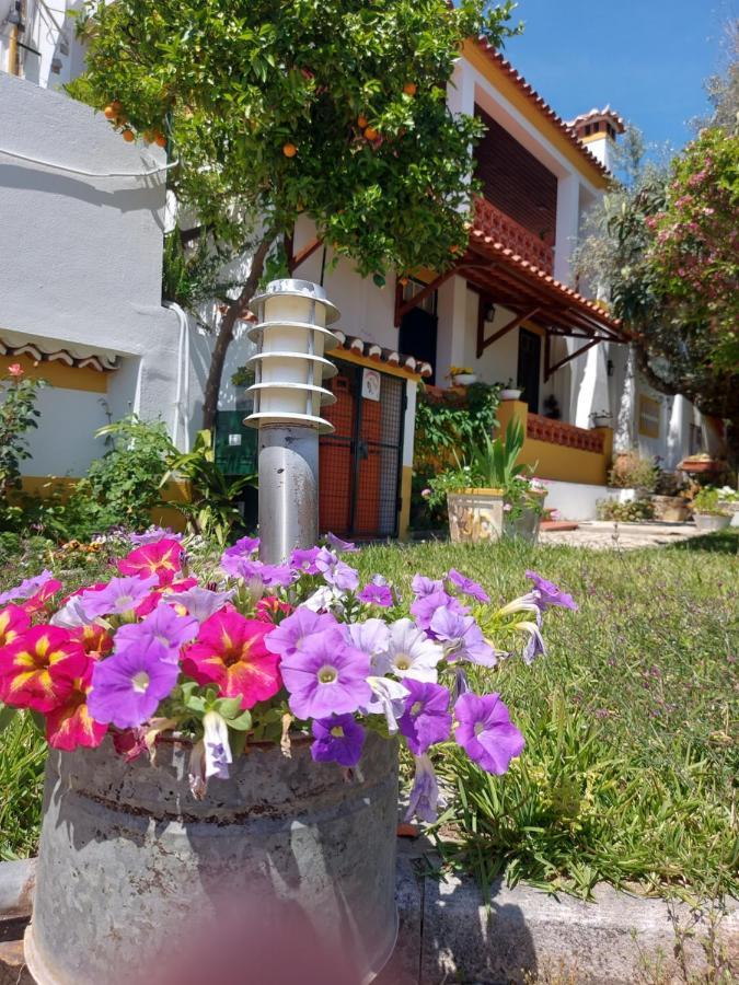 A Tejada Villa Ortiga ภายนอก รูปภาพ